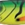 0001_Berkley_Zilla_Glider_[Firetiger].jpg